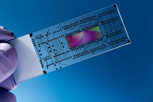 The Lorem Ipsum Experience: Crafting Seamless User Interfaces