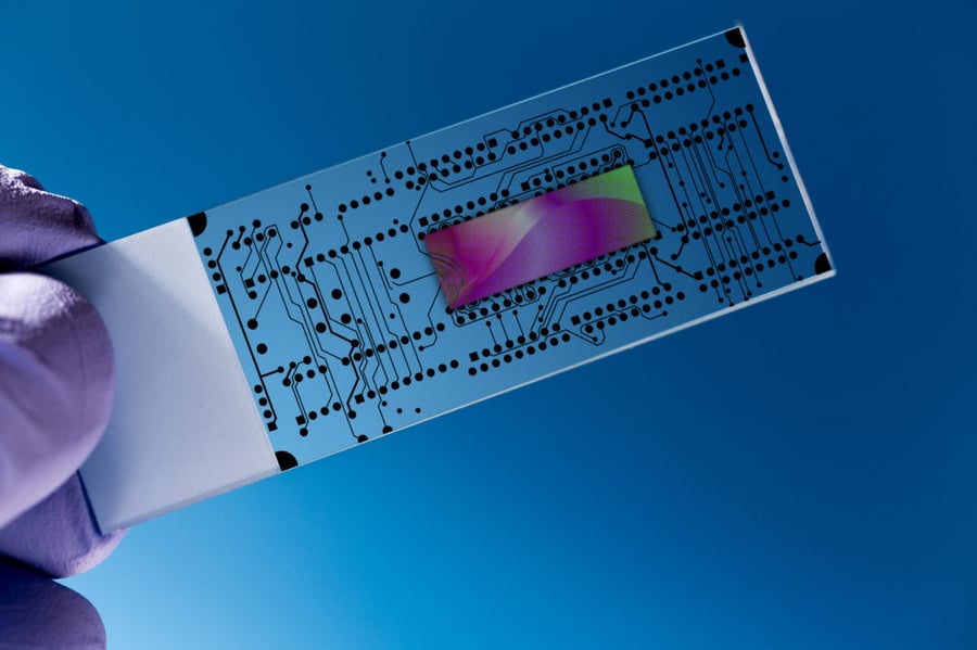 The Lorem Ipsum Experience: Crafting Seamless User Interfaces